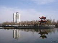 新疆大学